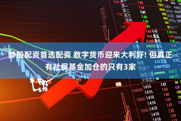 炒股配资首选配资 数字货币迎来大利好! 但真正有社保基金加仓的只有3家