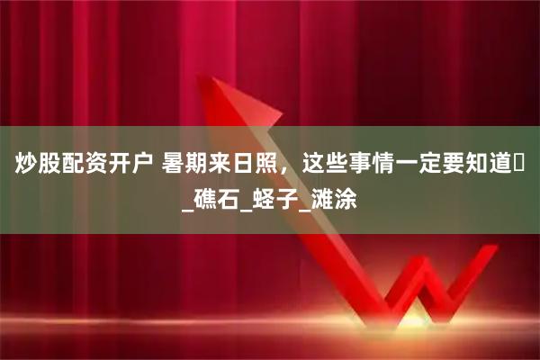 炒股配资开户 暑期来日照，这些事情一定要知道️_礁石_蛏子_滩涂